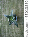 A succulent planted in a round white ceramic pot on the green mat 65013880
