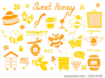 Set of bee, honey, lettering and other beekeeping illustration. Vector EPS10 65014709