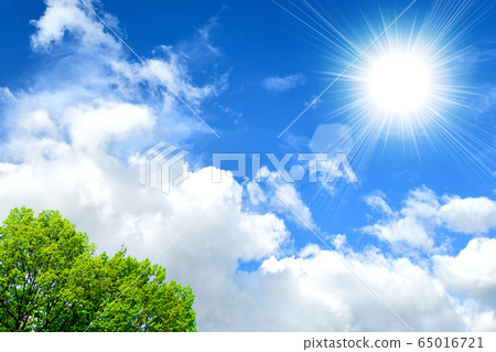 Summer sky 65016721