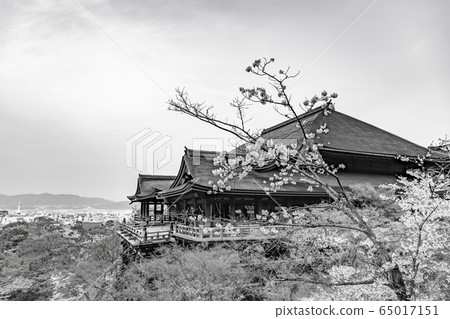 [單色]清水寺本館 65017151