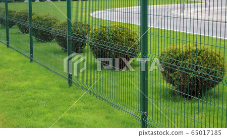 neat fence and bushes of the park area in the city 65017185