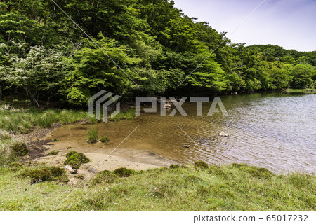 （靜岡縣）天城八丁目 65017232