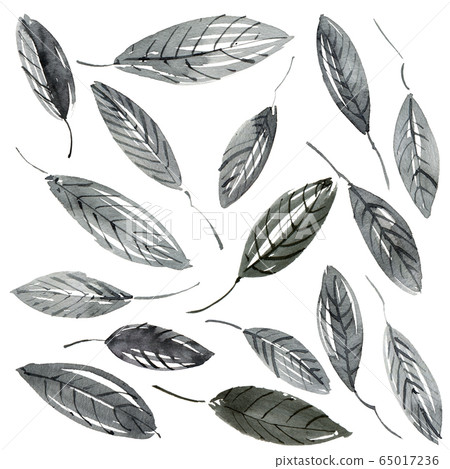 Watercolor leaves illustration Watercolor leaves illustration 65017236