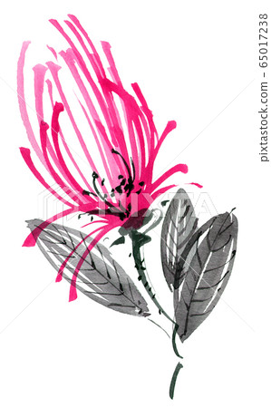 Red flower with leaves Red flower with leaves 65017238
