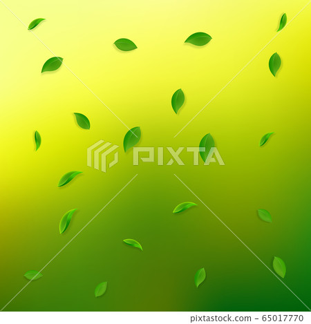 Falling green leaves. Fresh tea random leaves flyi 65017770