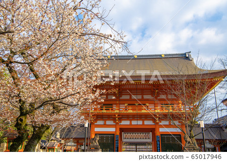 八坂神社南塔 65017946