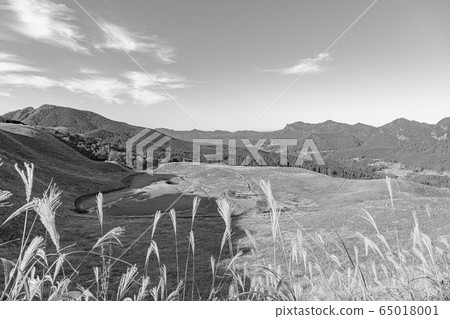 [Sepia] Kashiwa plateau in autumn 65018001