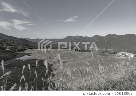 [Sepia] Kashiwa plateau in autumn 65018002