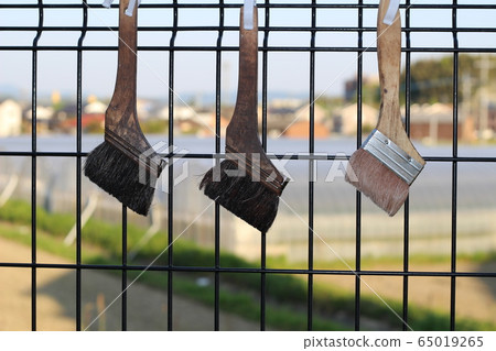 Brush dried Brush dried 65019265