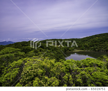 （靜岡縣）天城八丁目和南阿爾卑斯山的景色 65019751