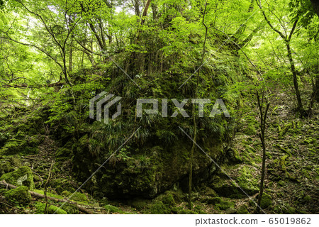 (Shizuoka Prefecture) Amagi Namako Rock (Shizuoka Prefecture) Amagi Namako Rock 65019862