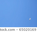 Birds and sky 65020169