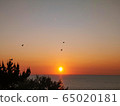 Bird and sea sunset 65020181