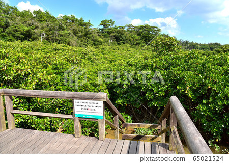 Keisashigawa promenade scenery Keisashigawa promenade scenery 65021524
