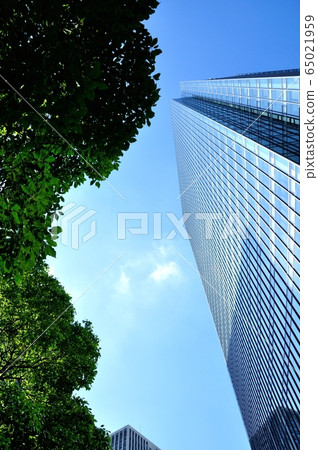 office building  65021959