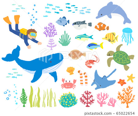 Sea creatures_diver 2_hand drawn Sea creatures_diver 2_hand drawn 65022654