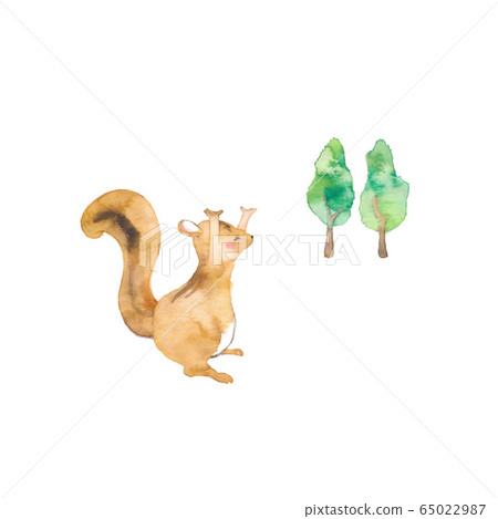 花栗鼠和樹 65022987