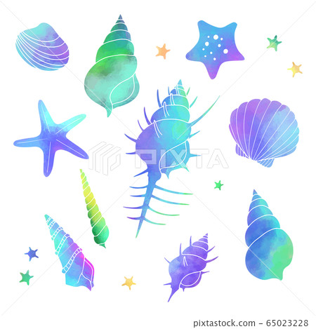 貝殼水彩藍插圖集 65023228