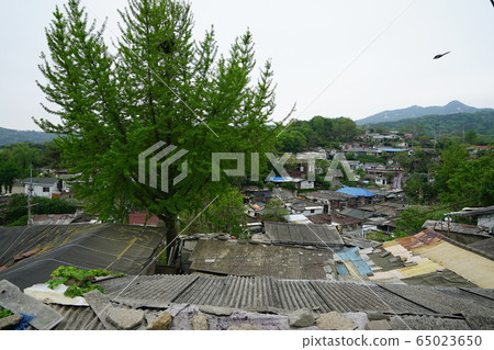 Seongbuk-gu, Jeongneung-dong, Alleyway 65023650