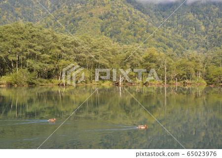 Taisho Pond in Kamikochi (Matsumoto City, Nagano Prefecture) Taisho Pond in Kamikochi (Matsumoto City, Nagano Prefecture) 65023976