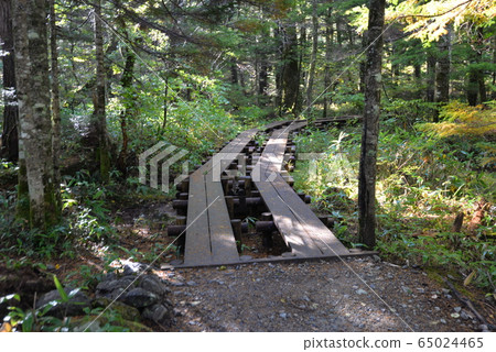 上高地長廊（長野縣松本市） 65024465