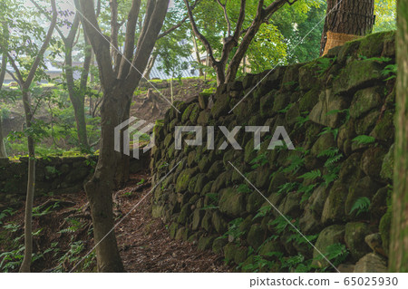 Okazaki Castle Honmaru Ishigaki 65025930