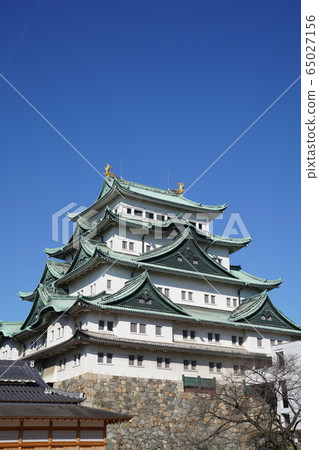 Nagoya Castle Nagoya Castle 65027156