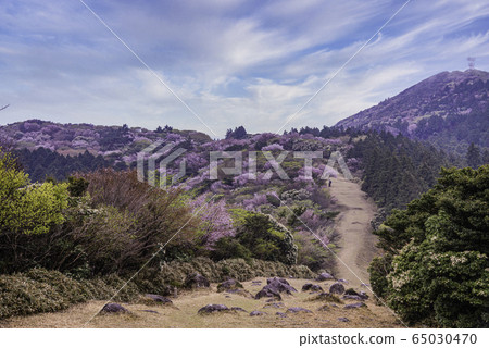 [靜岡縣]金閣山遠足路線 65030470