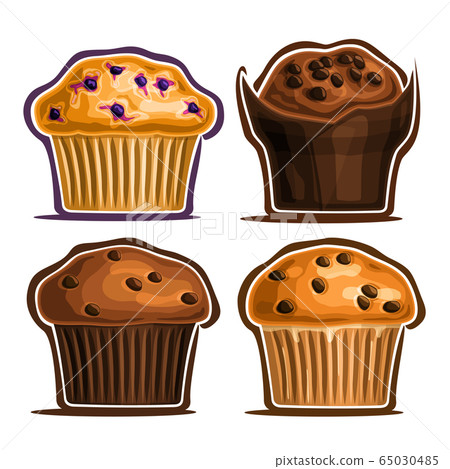 Vector Set of assorted Muffins Vector Set of assorted Muffins 65030485