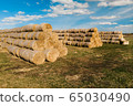 Hay bales. Close-up of hay bales stacked in stacks. Harvesting in agriculture. 65030490