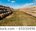 Sheaves of hay in a field in the sunshine 65030496