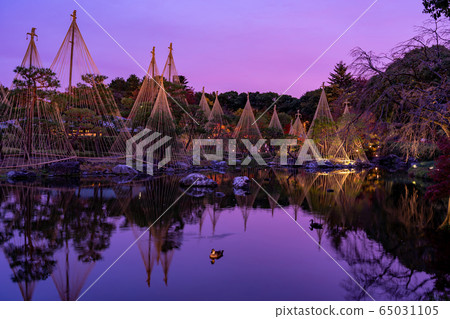 愛知縣名古屋市城鳥園雪景照明 65031105