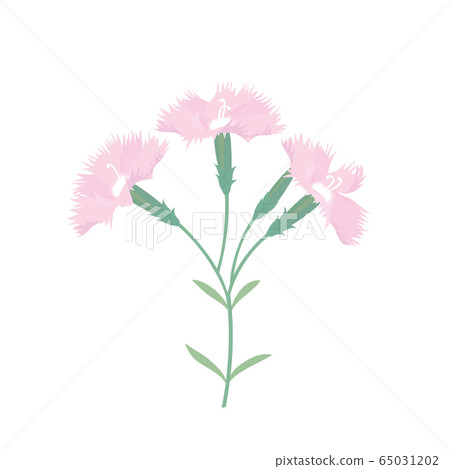 坎皮恩 65031202