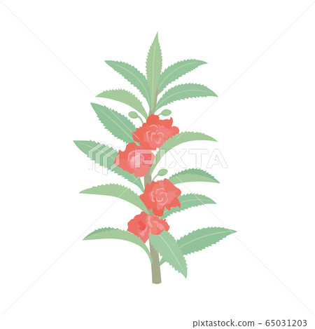 花園香脂 65031203