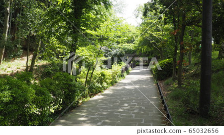 Green road 65032656