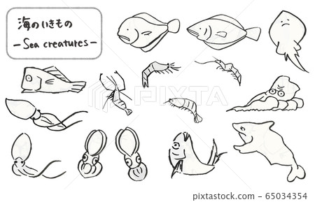 Sea creatures drawn by brush, hand drawn cute animal illustrations Sea creatures drawn by brush, hand drawn cute animal illustrations 65034354