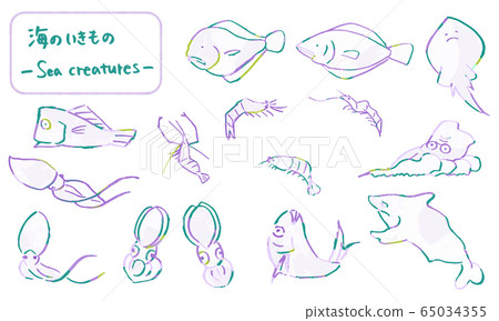 Sea creatures drawn by brush, hand drawn cute animal illustrations Sea creatures drawn by brush, hand drawn cute animal illustrations 65034355