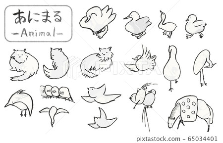手繪鳥和貓，可愛的動物插圖用筆刷繪製 65034401