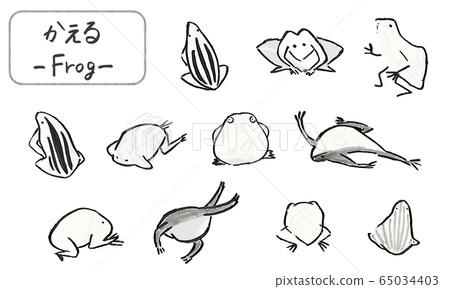 Hand drawn frogs drawn with a brush, cute animal illustrations Hand drawn frogs drawn with a brush, cute animal illustrations 65034403