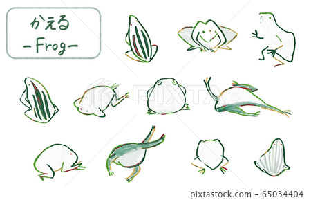 Hand drawn frogs drawn with a brush, cute animal illustrations 65034404