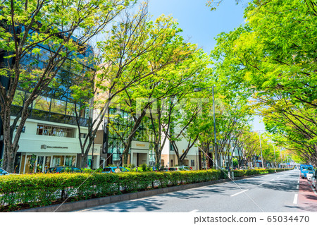 Tokyo Harajuku Spring Omotesando 65034470