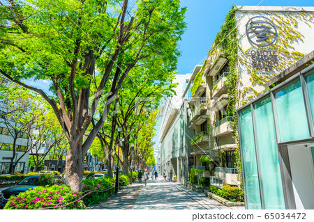 Tokyo Harajuku Spring Omotesando 65034472