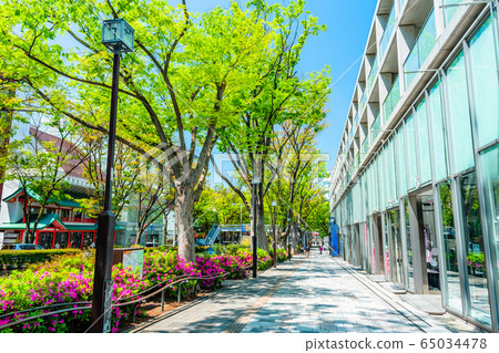 Tokyo Harajuku Spring Omotesando Tokyo Harajuku Spring Omotesando 65034478