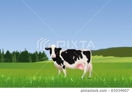 Cattle illustrations 65034607