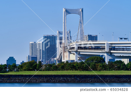 東京灣風光台場公園和彩虹橋 東京灣風光台場公園和彩虹橋 65034828