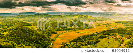 Austria vineyards landscape. Leibnitz area in Austria vineyards landscape. Leibnitz area in 65034911