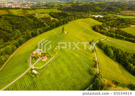 Austria vineyards landscape. Leibnitz area in 65034914