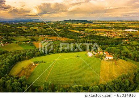 Austria vineyards landscape. Leibnitz area in Austria vineyards landscape. Leibnitz area in 65034916