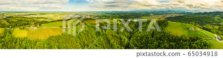 Aerial panorama of of green hills and vineyards Aerial panorama of of green hills and vineyards 65034918