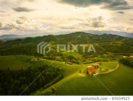 Austria vineyards landscape. Leibnitz area in 65034925